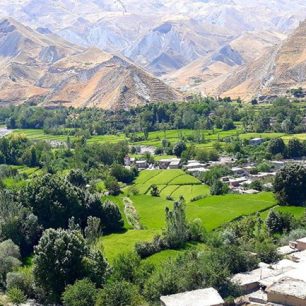 ایدلیک