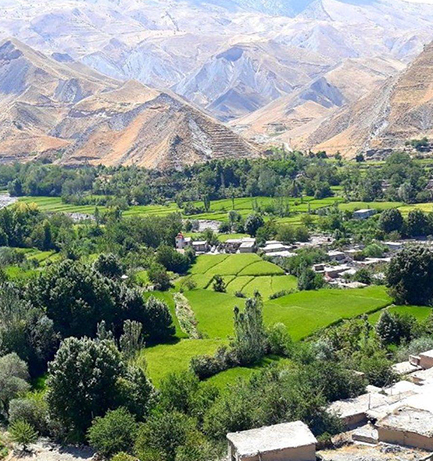 ایدلیک