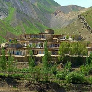 سینی